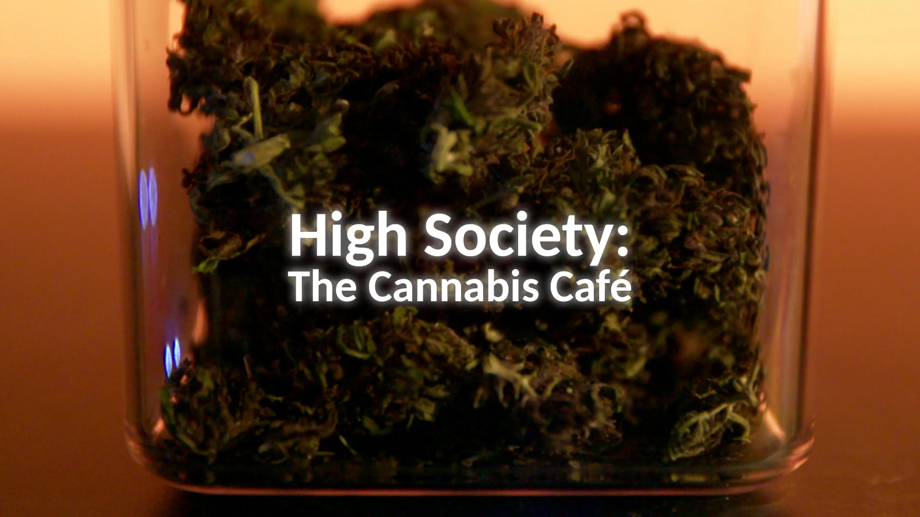 High Society: The Cannabis Café poster